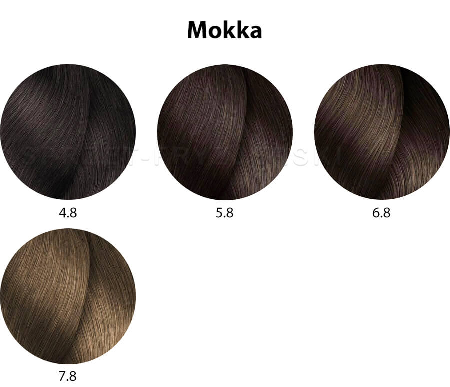 Loreal Inoa Oil System Farba do włosów - paleta kolorów mokka
