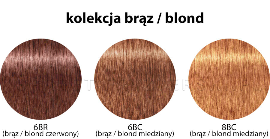 Paleta kolorów Matrix Socolor Sync Pre-bonded - odcienie brązy / blondy